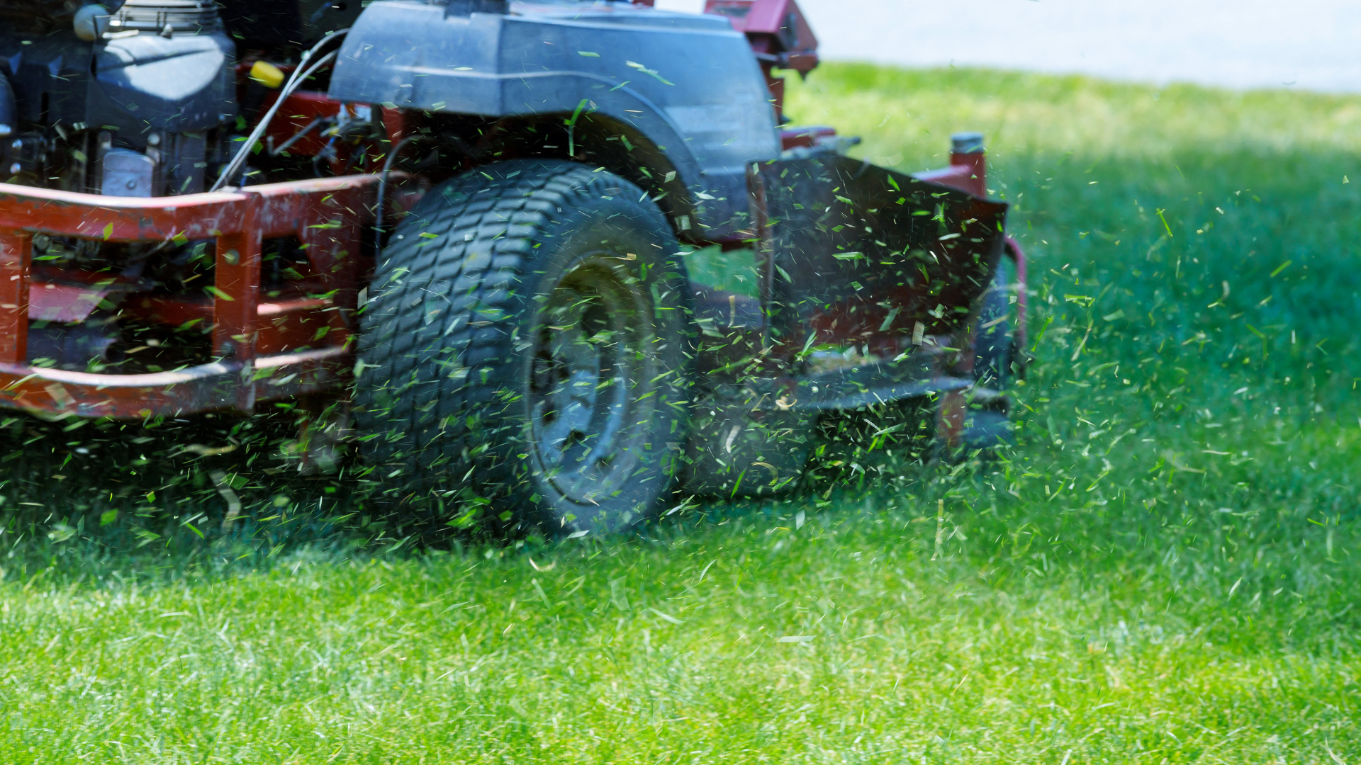 company landscaping services