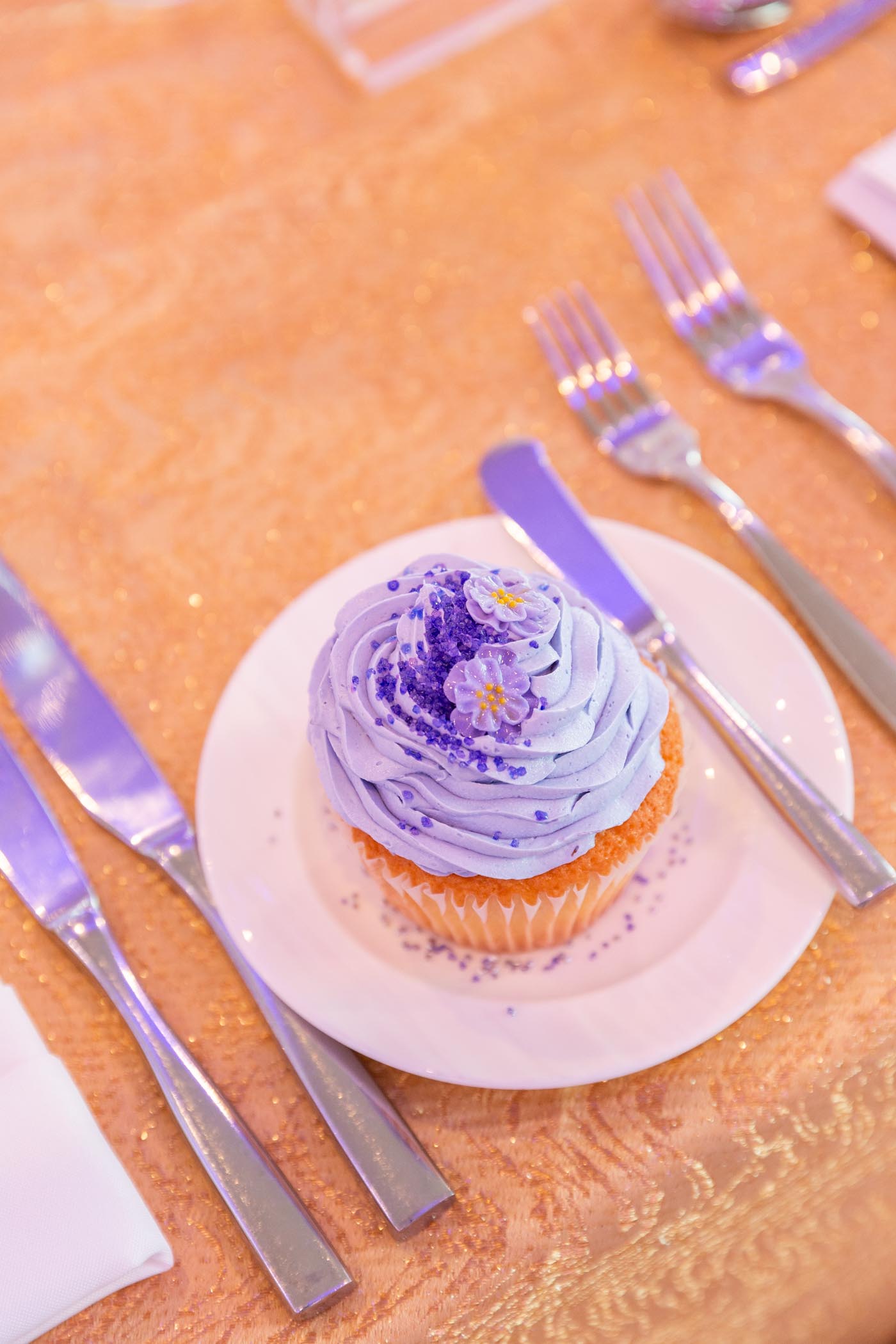 Sugar Plum Dreams Quantum House