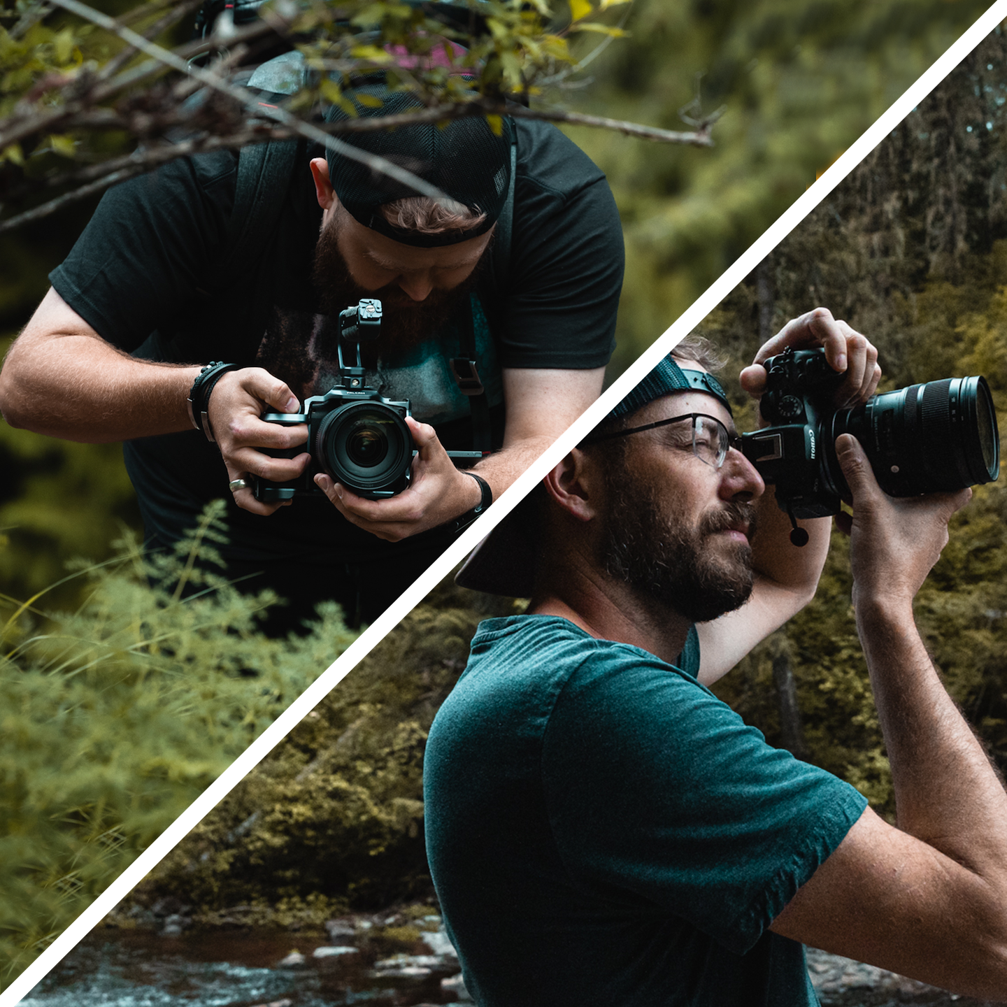 Two men are taking pictures with cameras in the woods.