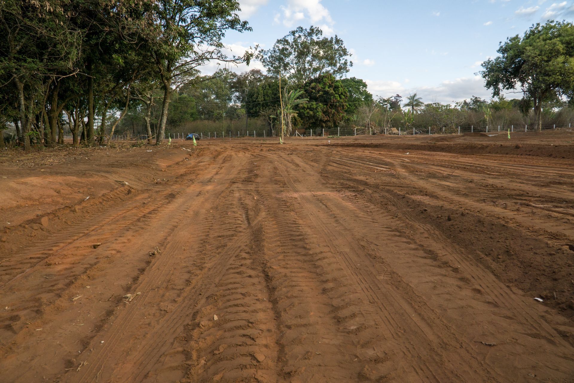 Rough red dirt road through a cleared area with trees in the background Rough red dirt road through a cleared area with trees in the background