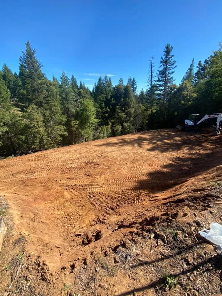 Recently cleared dirt clearing in a forest, with pine trees around and a truck at right edge Recently cleared dirt clearing in a forest, with pine trees around and a truck at right edge