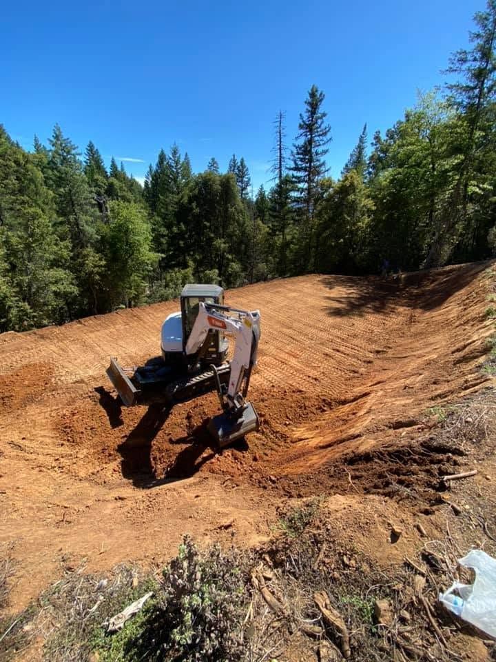 Excavator digging a dirt clearing in a forest under a bright blue sky Excavator digging a dirt clearing in a forest under a bright blue sky