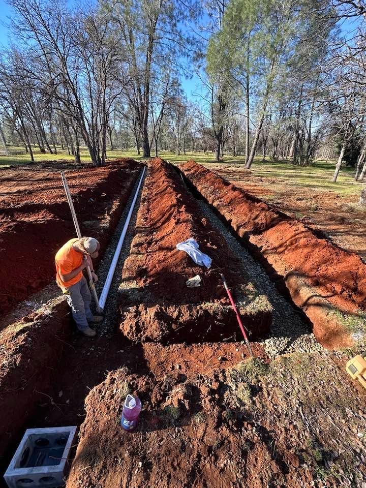 Trenched dirt path with workers laying pipes in a red-soil field under bare trees Trenched dirt path with workers laying pipes in a red-soil field under bare trees