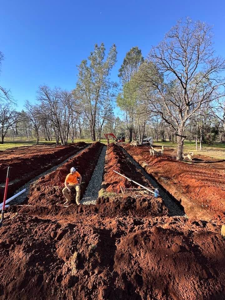 Workers digging long trenches in a red dirt field with trees and blue sky in the background Workers digging long trenches in a red dirt field with trees and blue sky in the background