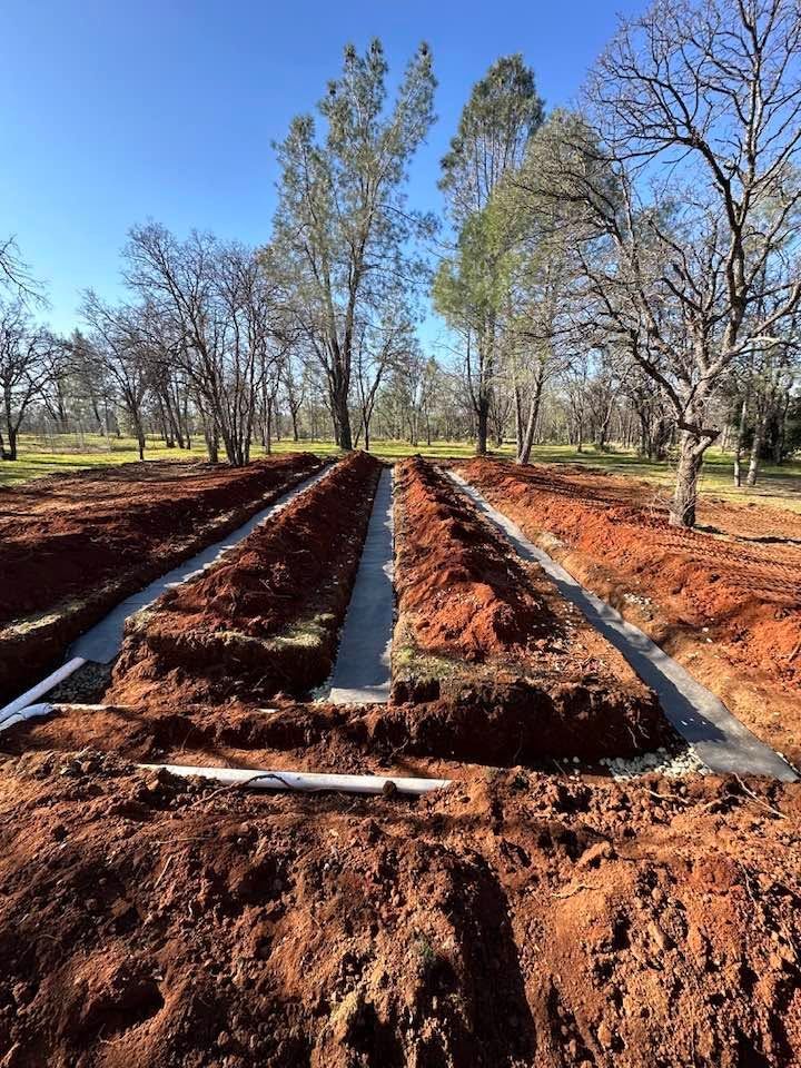 Newly dug red-soil trenches in a field with trees under a clear blue sky Newly dug red-soil trenches in a field with trees under a clear blue sky