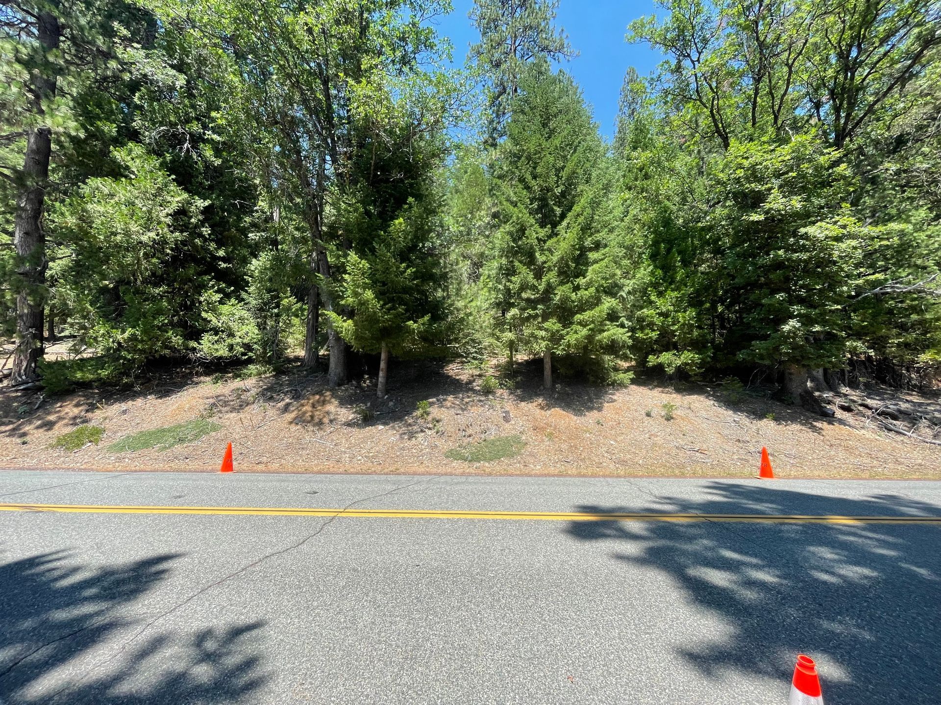 Wooded roadside with three orange cones along the shoulder under green trees.