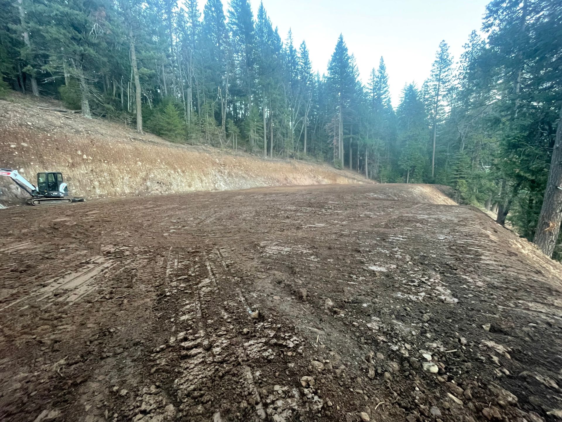 Freshly graded dirt road beside forest, with a small excavator on the left and tall evergreens on both sides