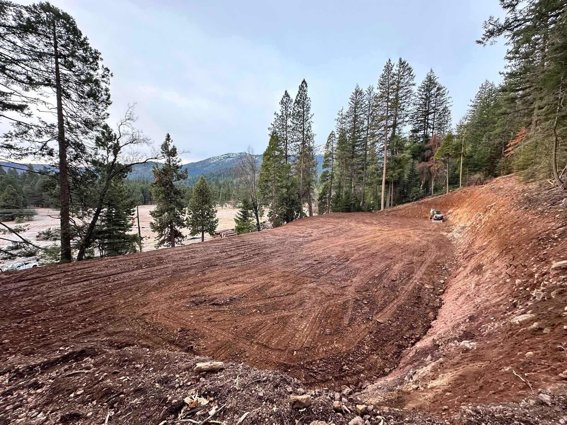 Cleared dirt slope beside pine trees overlooking a river and distant mountains
