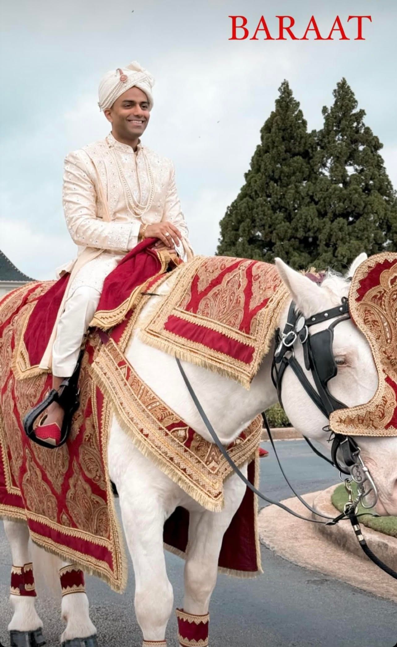 White horse wearing ornate red and gold ceremonial headwear; outdoor setting.