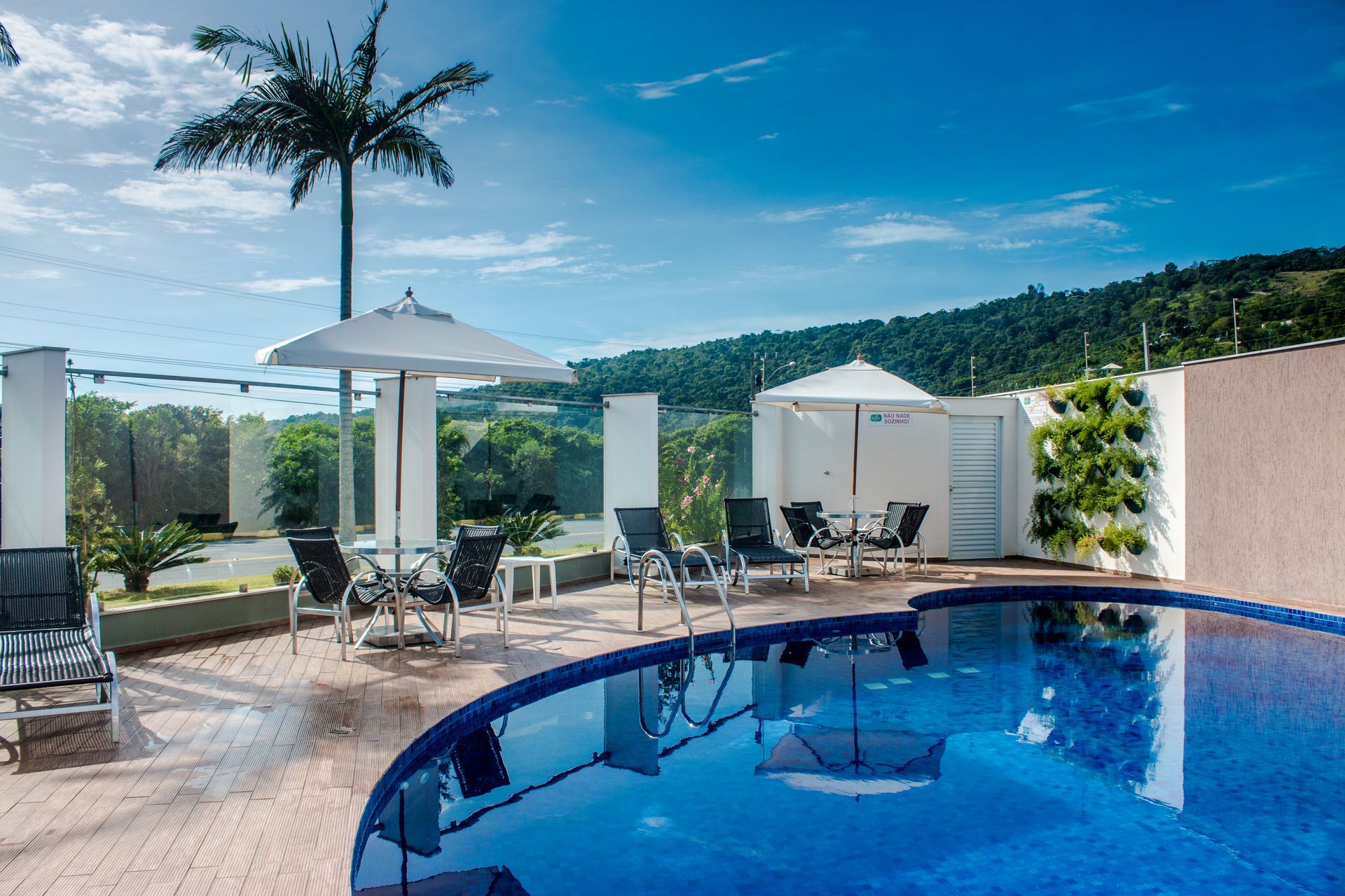 Piscina com móveis de jardim, guarda-sóis e uma palmeira com vista para as montanhas.
