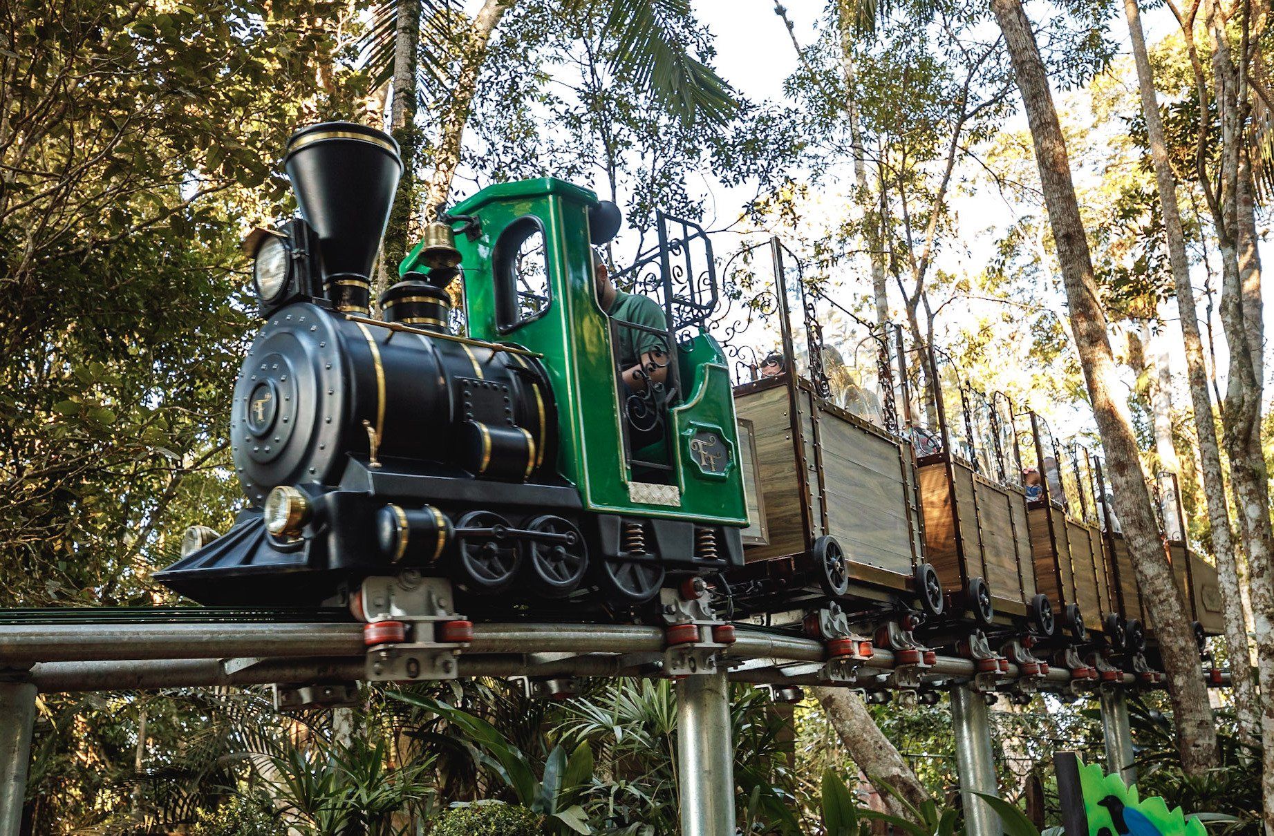 Um trem verde e preto viaja sobre trilhos através de uma área arborizada.