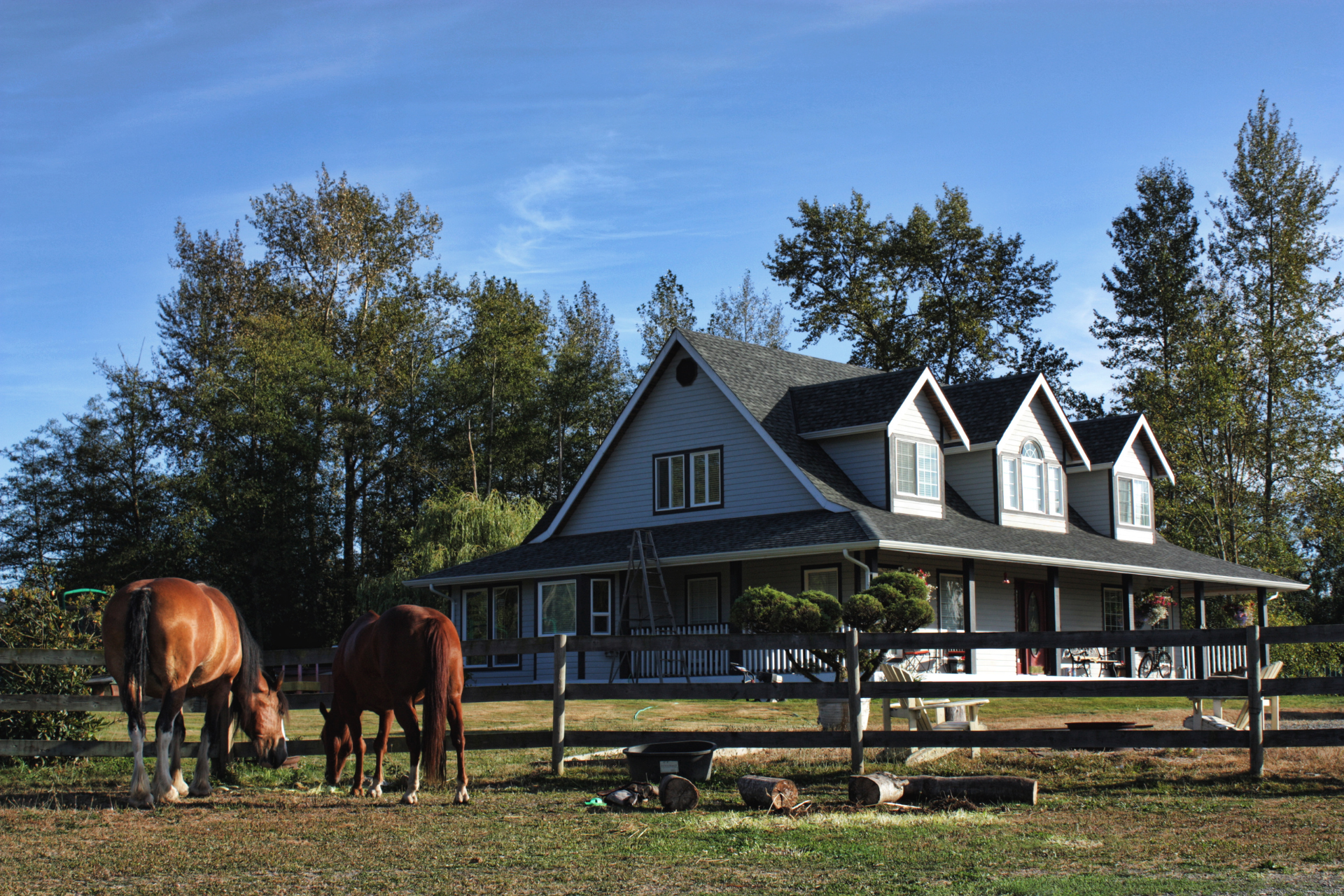 Two horses grazing beside a gray farmhouse with white dormer windows and a fenced yard under a blue sky