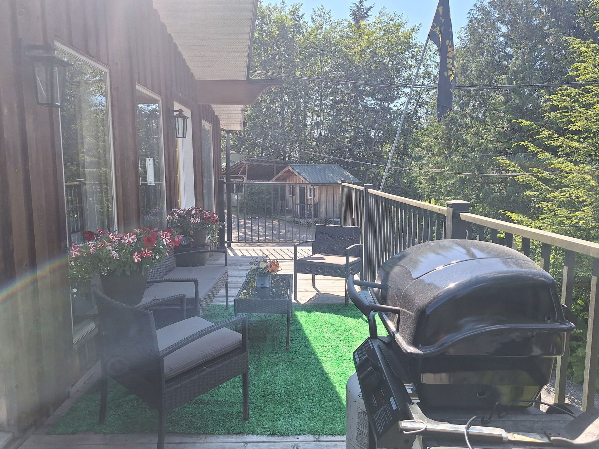 Sunlit backyard deck with patio chairs, potted flowers, and a covered grill beside a railing and trees