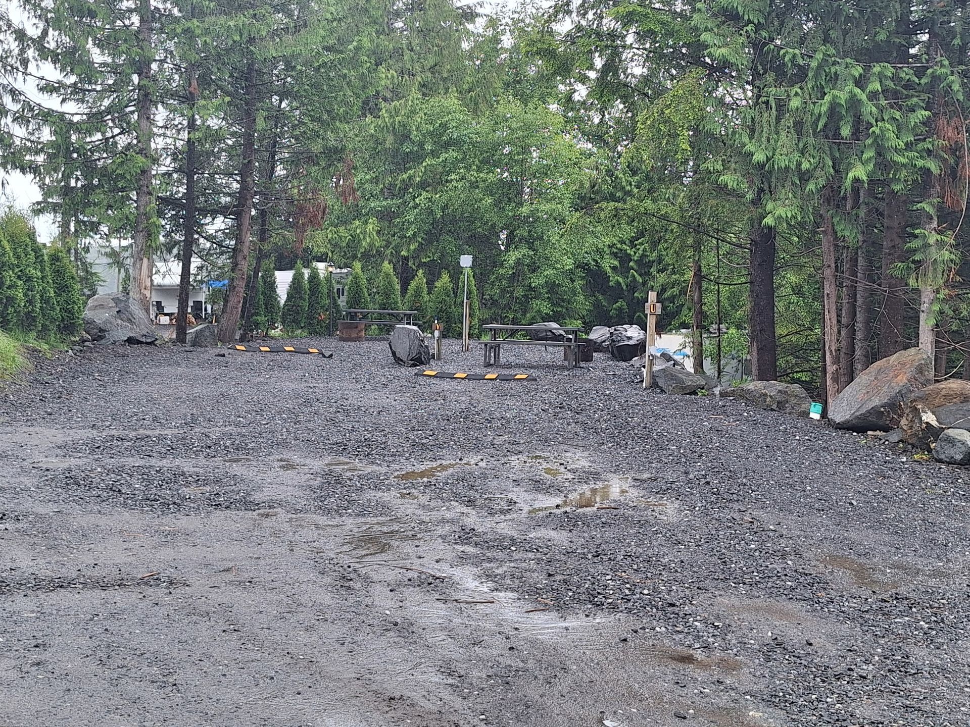 Fresh gravel driveway or lot bordered by tall trees and sparse fencing in a wooded area