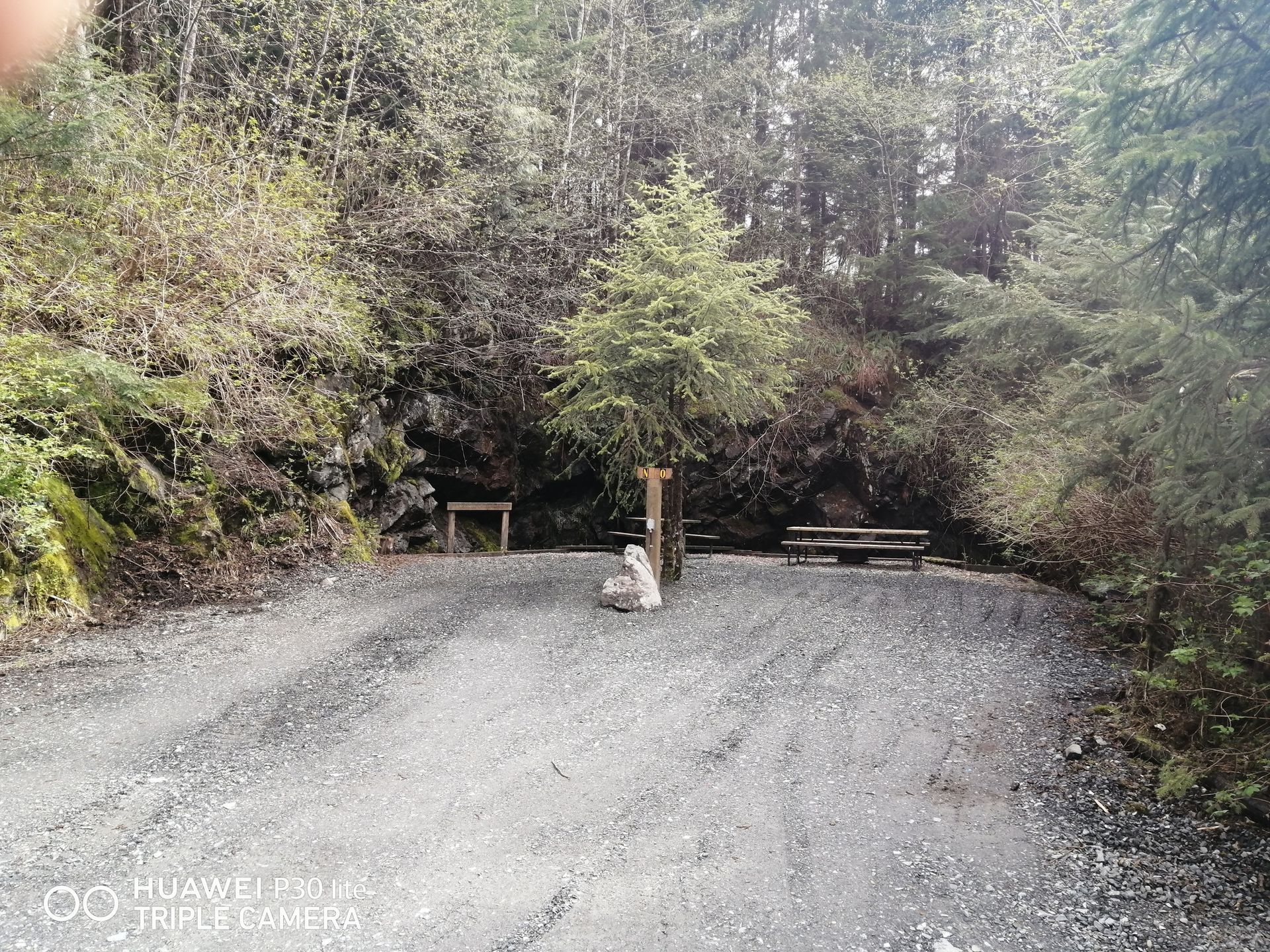Gravel clearing in a forest with benches and a small sign near the trees