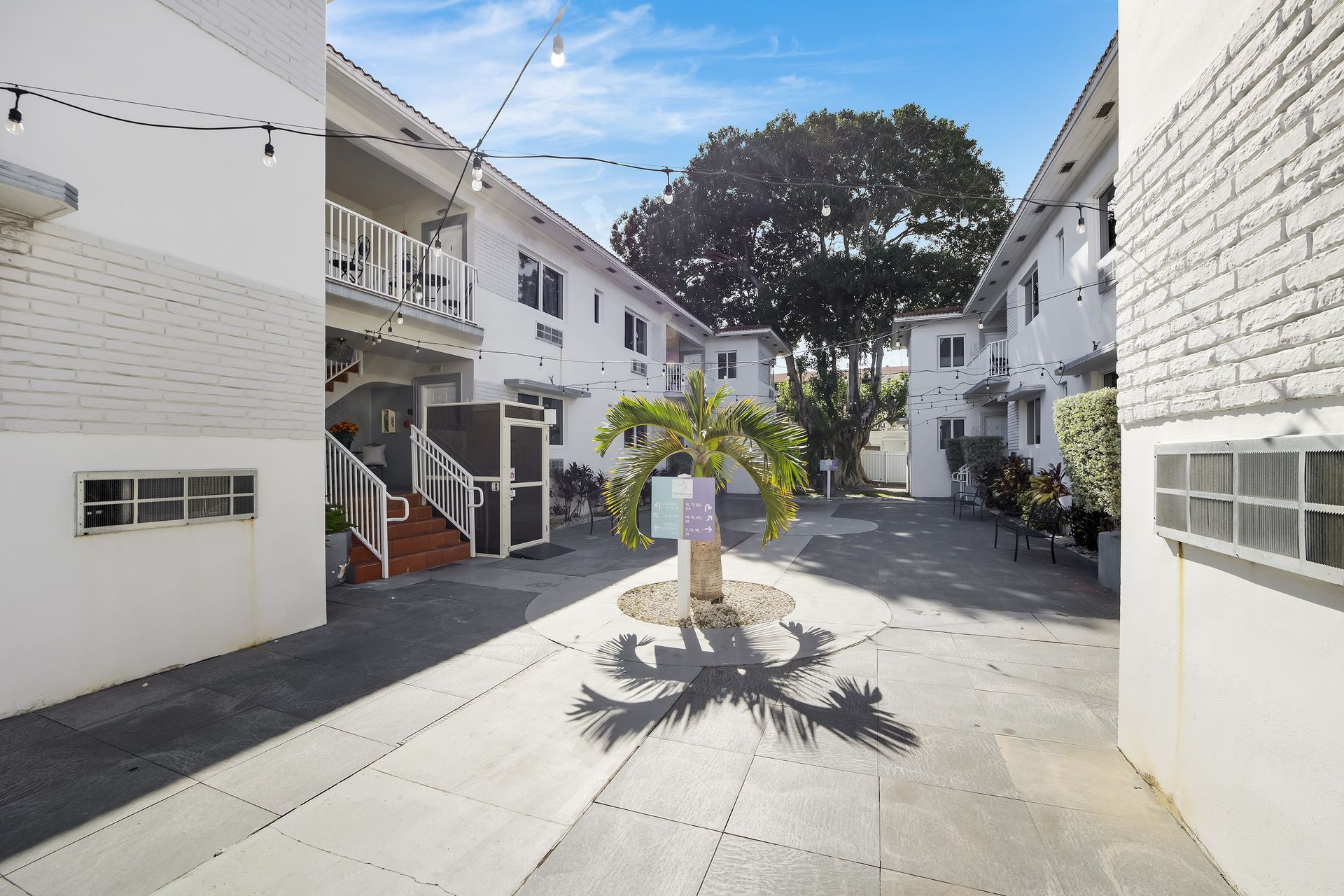 Courtyard between white buildings with palm tree and string lights.