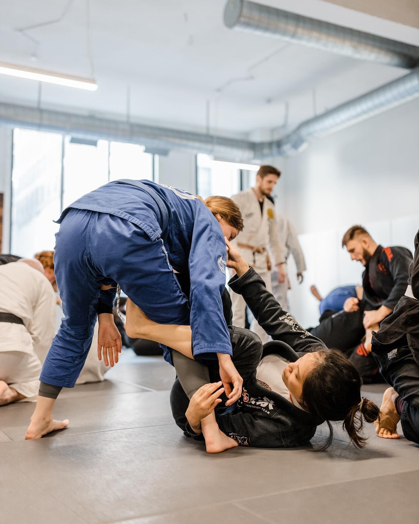 Advanced Jiu Jitsu (Gi & No Gi)