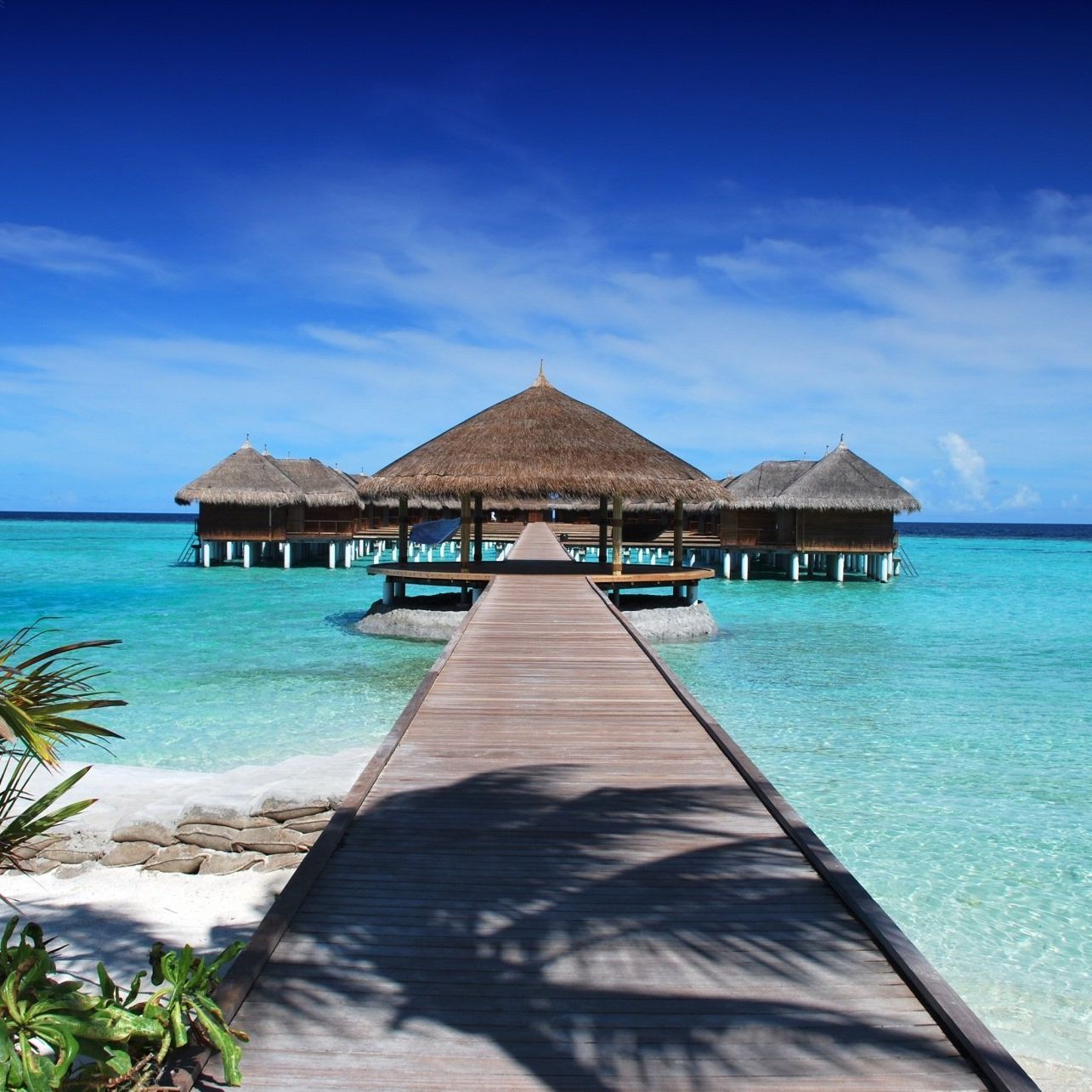 A wooden dock leads to a hut in the ocean