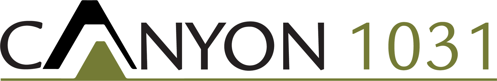 Canyon 1031 logo