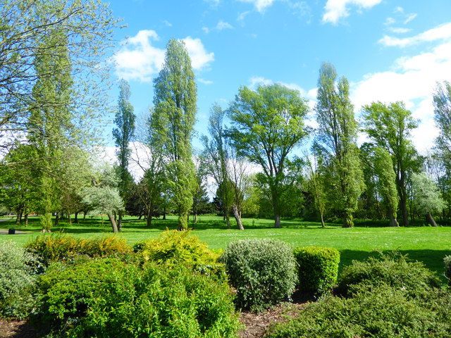 Trees and lawns in a Greenford park on a sunny day