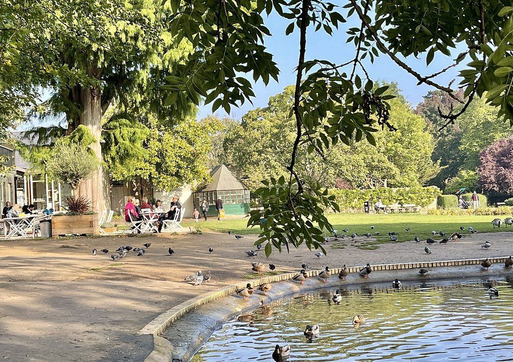 Duck pond and café at Pinner Memorial Park