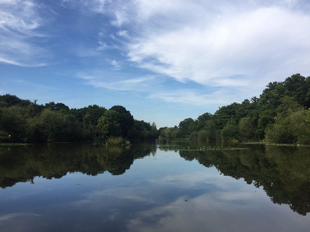 A calm lake reflects the sky and surrounding trees on a sunny day.
