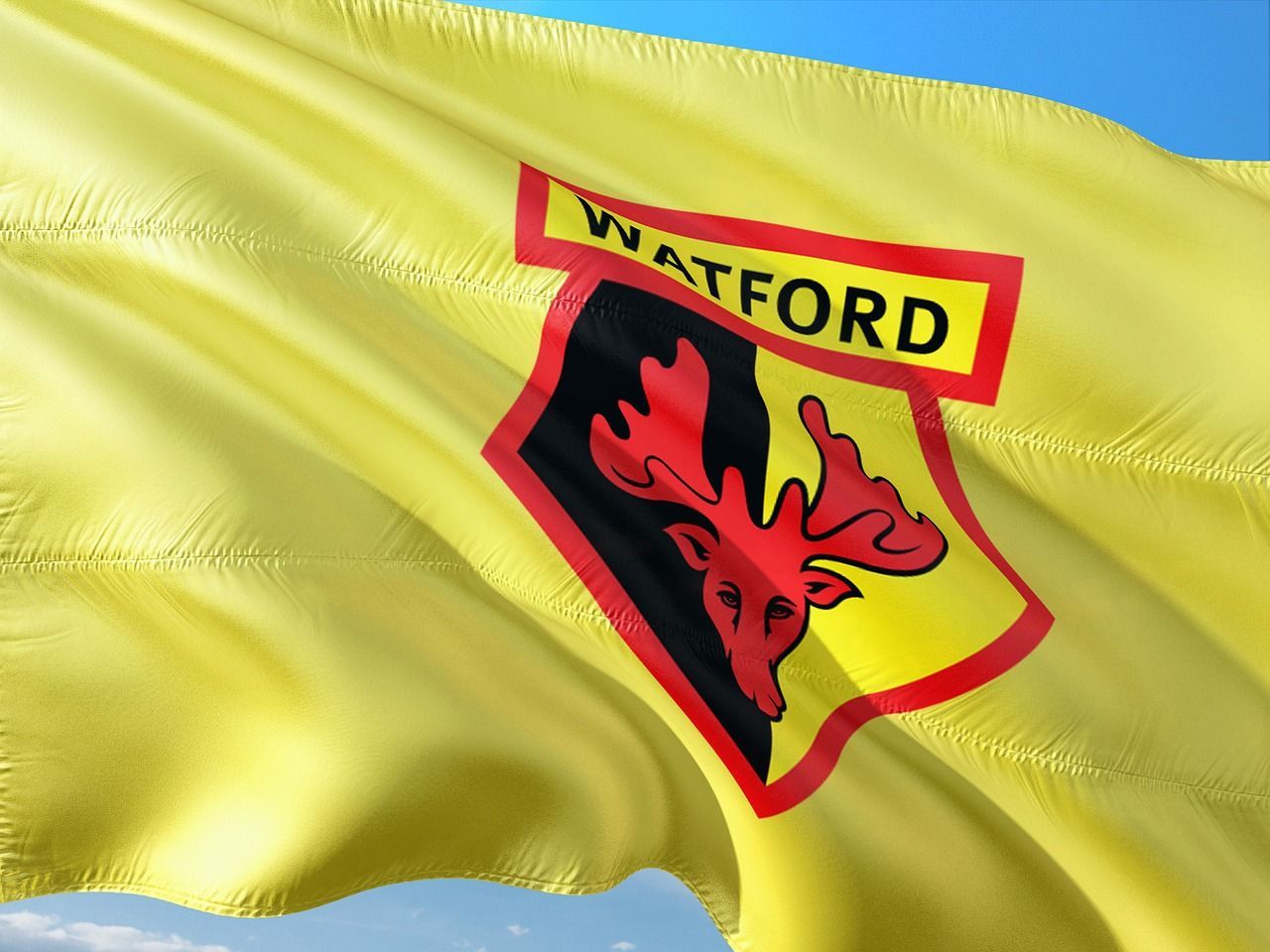 Watford Football Club flag waving in the wind, yellow background with the team's badge in the center.