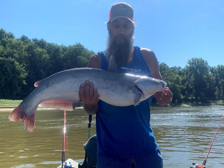 Man holding a large blue catfish on a river, with trees and blue sky.