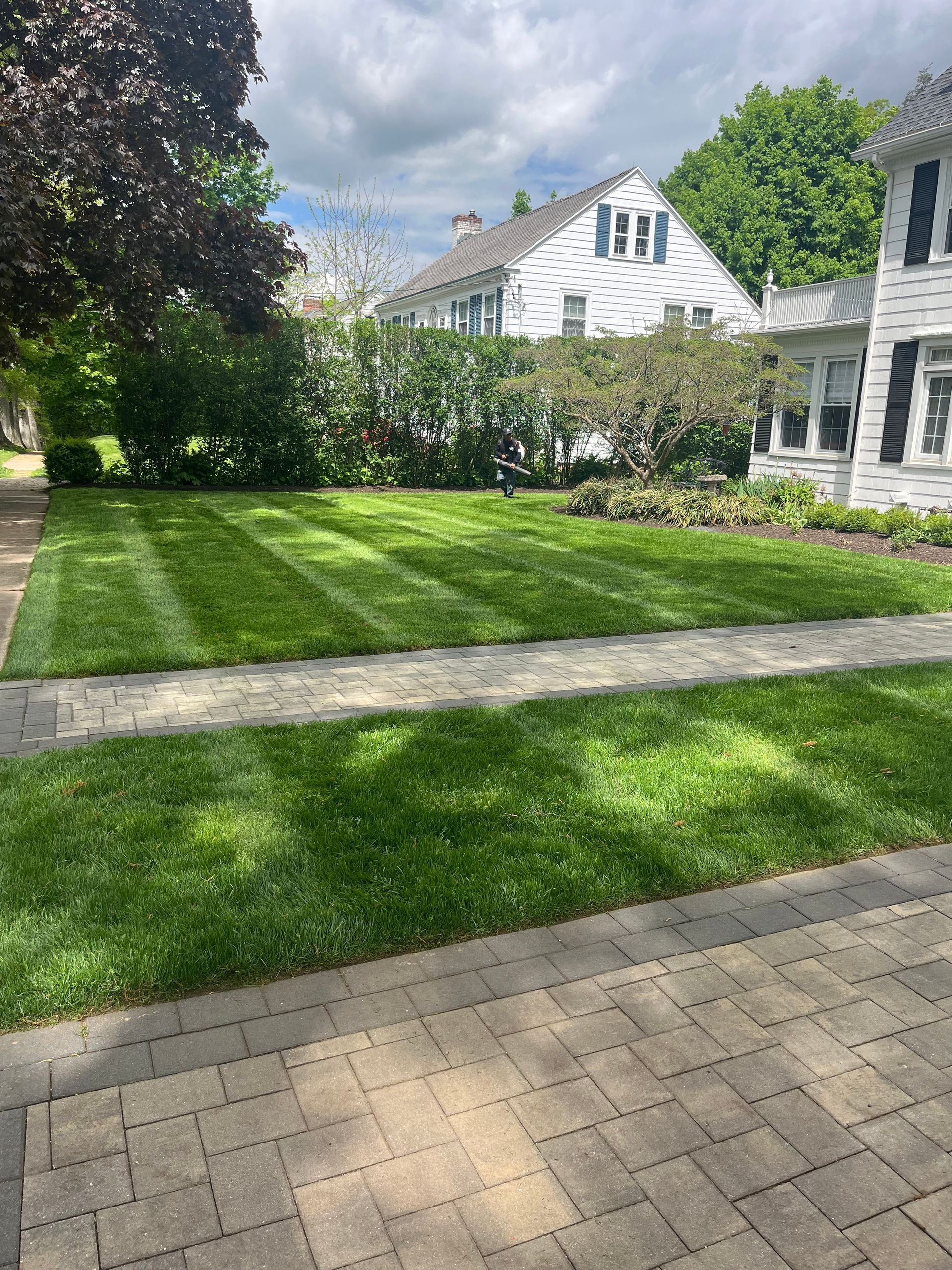 A lush green lawn next to a brick walkway and a white house.