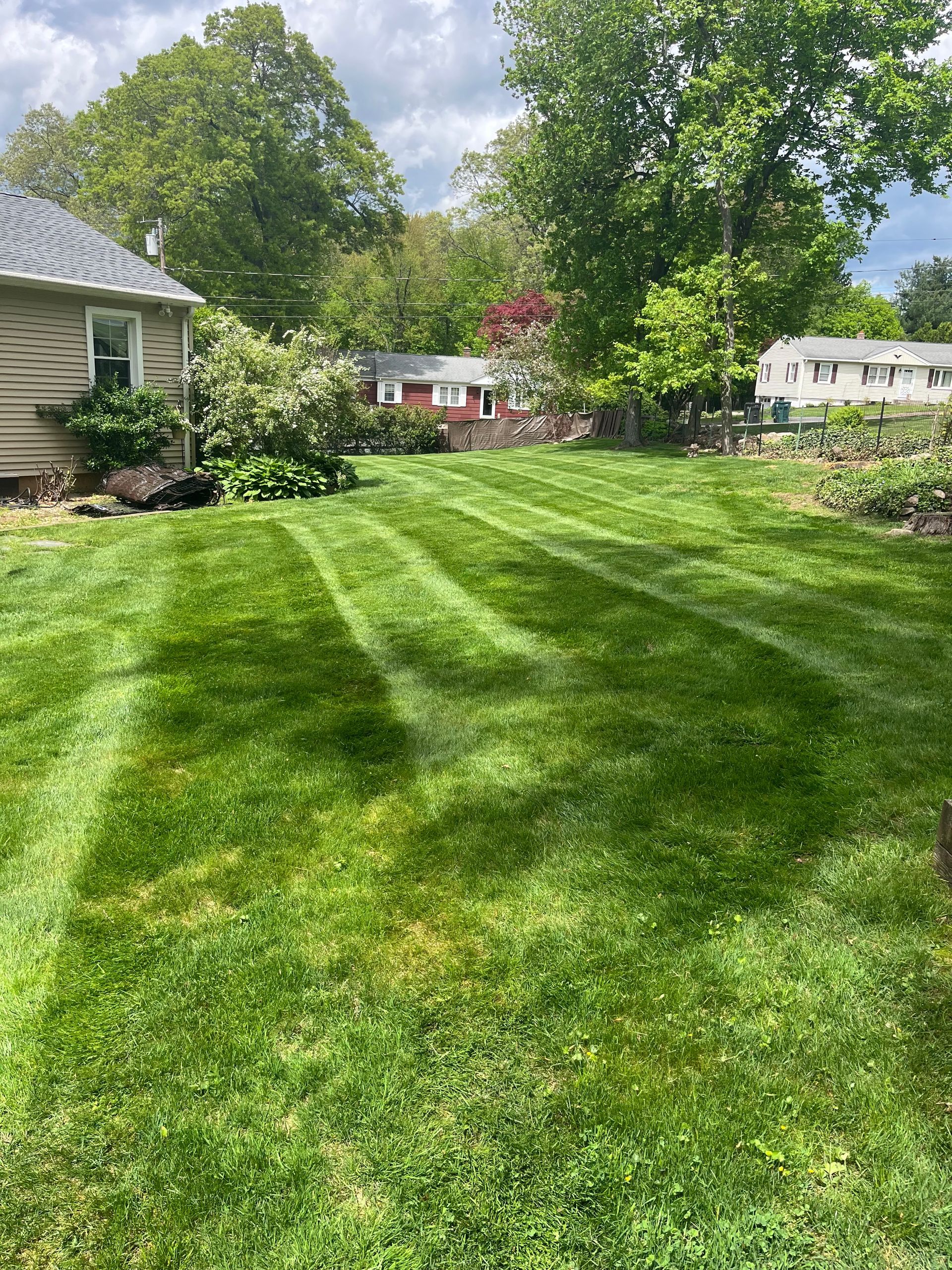 A lush green lawn in front of a house on a sunny day.