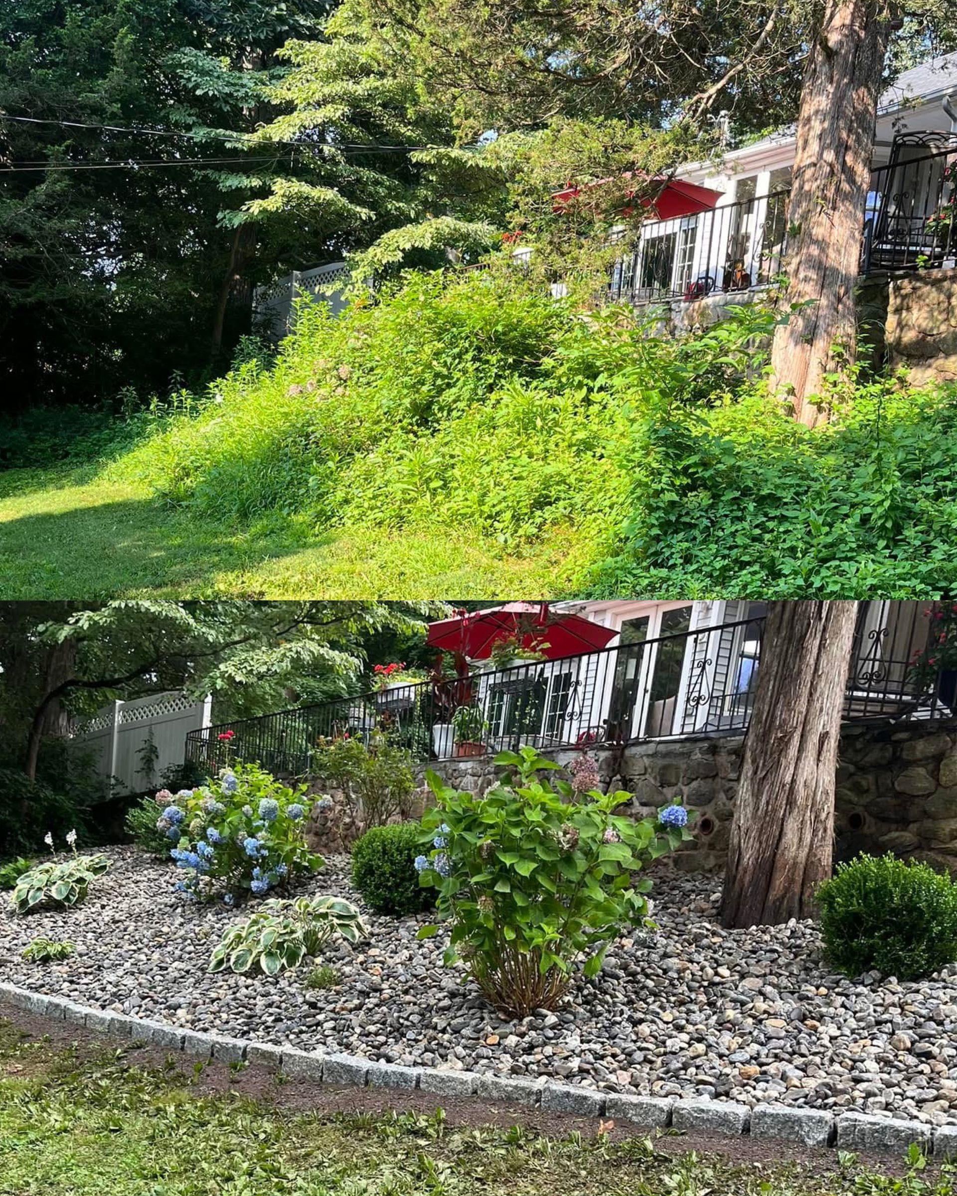 There is a before and after picture of a garden.