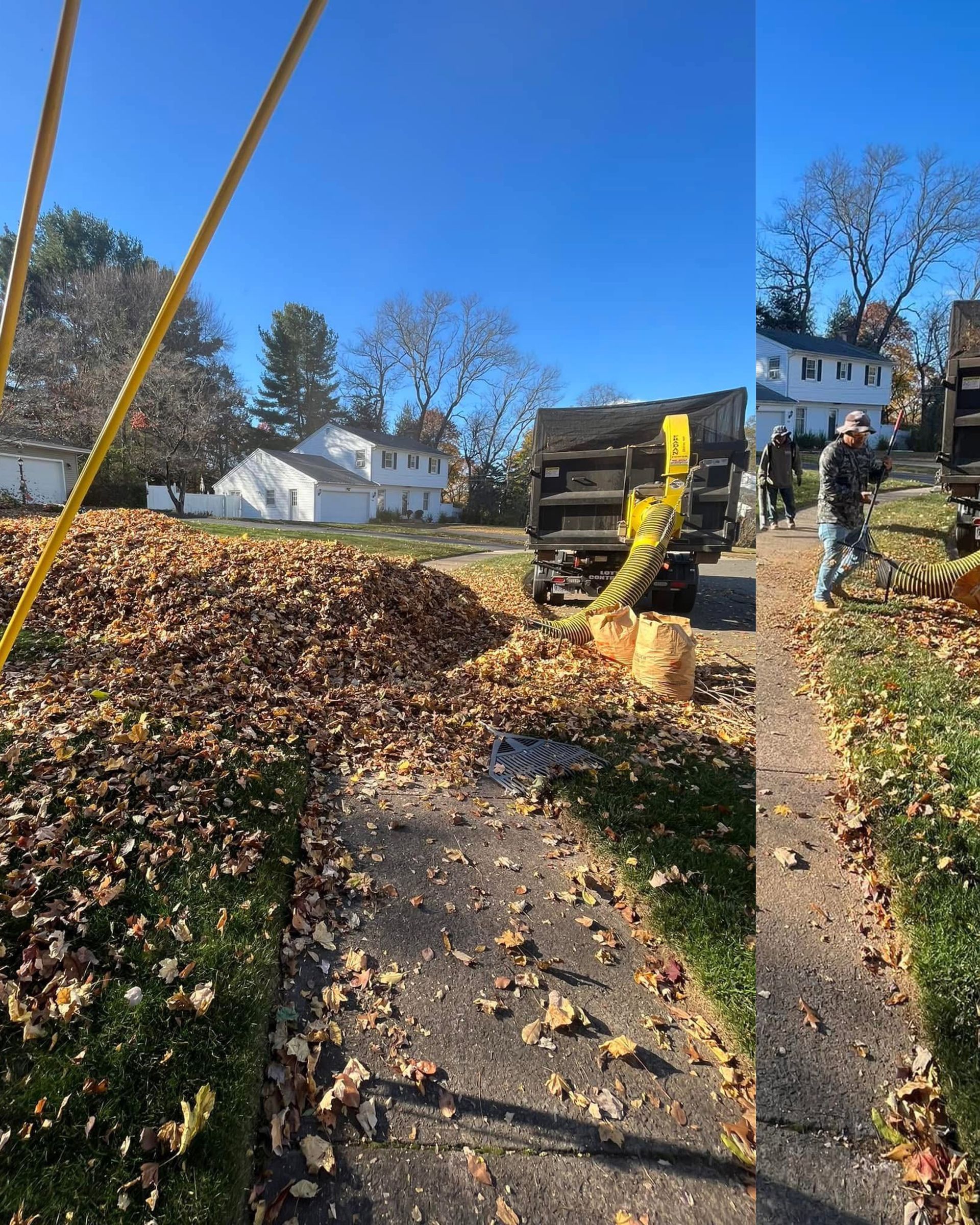 A pile of leaves is being loaded into a truck.