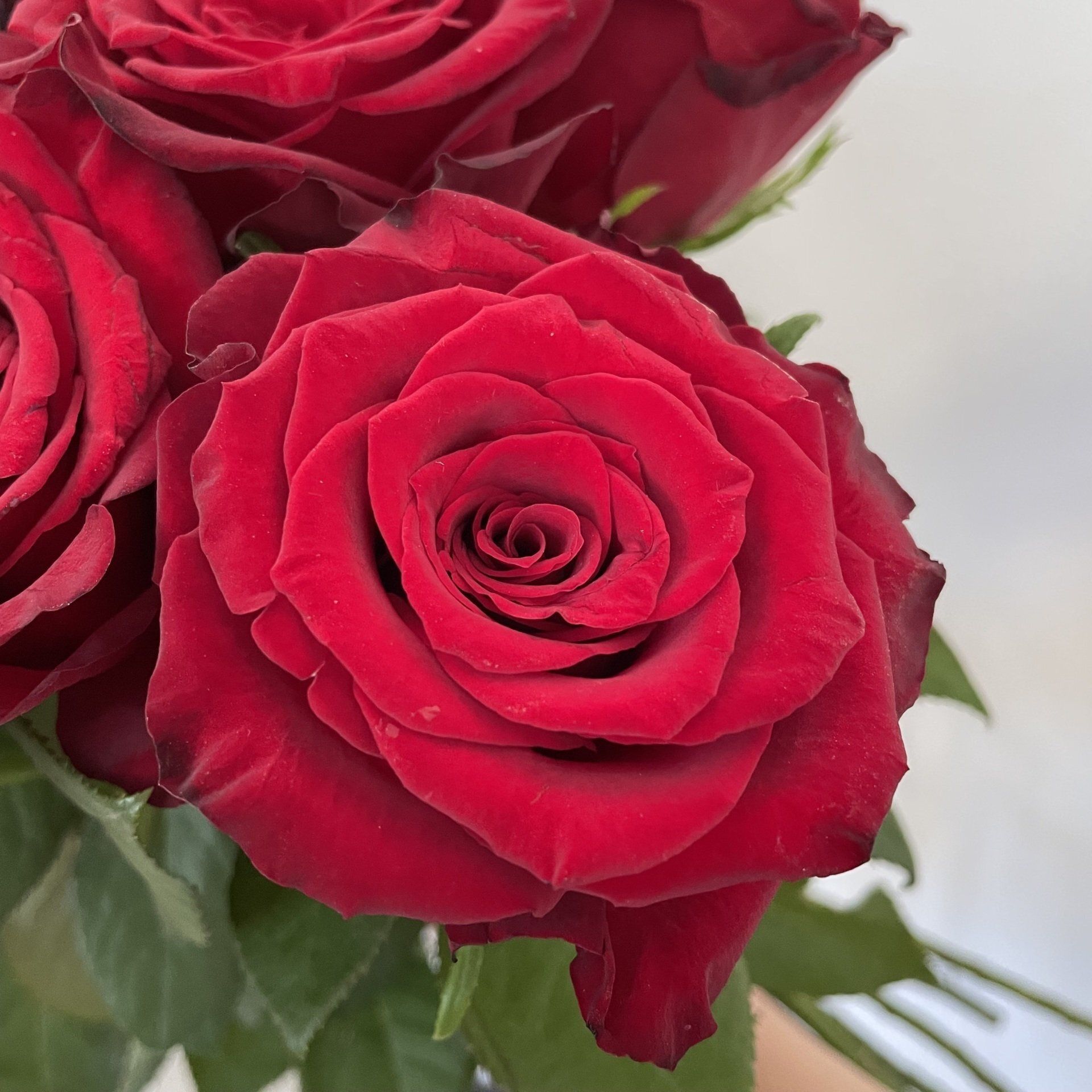 Quante rose rosse ti servono?