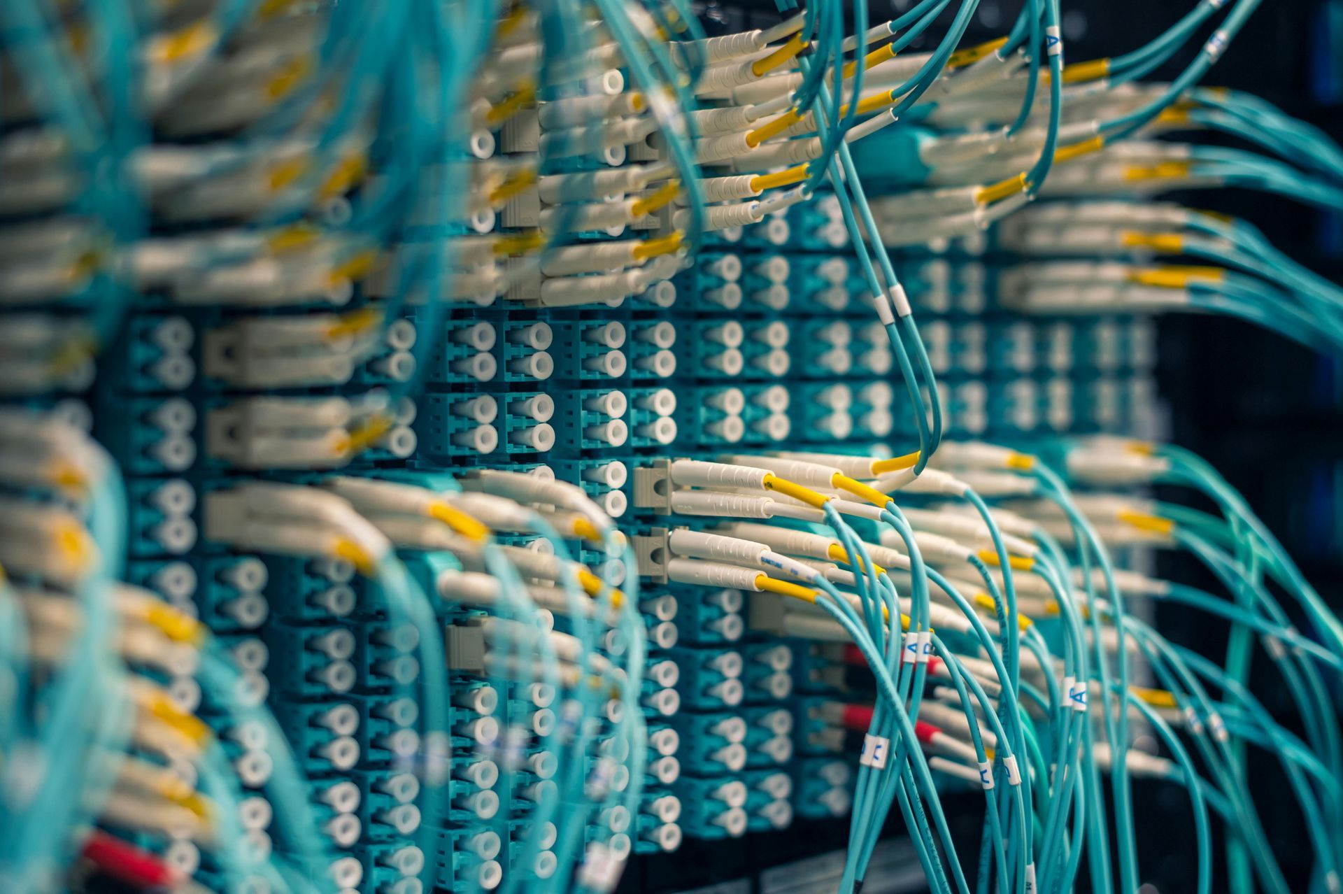 Rows of network cables and patch panels in a data center, with blue and yellow wires connected.