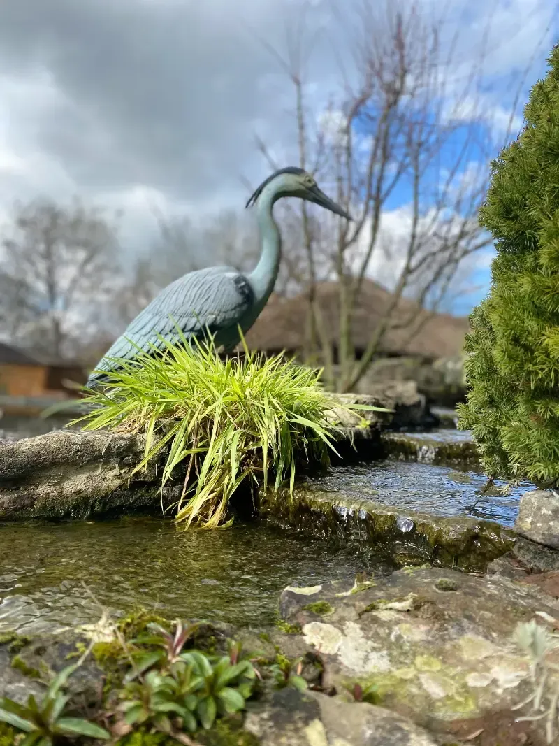 Woodlands Manor Care Home | A statue of a bird sitting on top of a log in a pond.