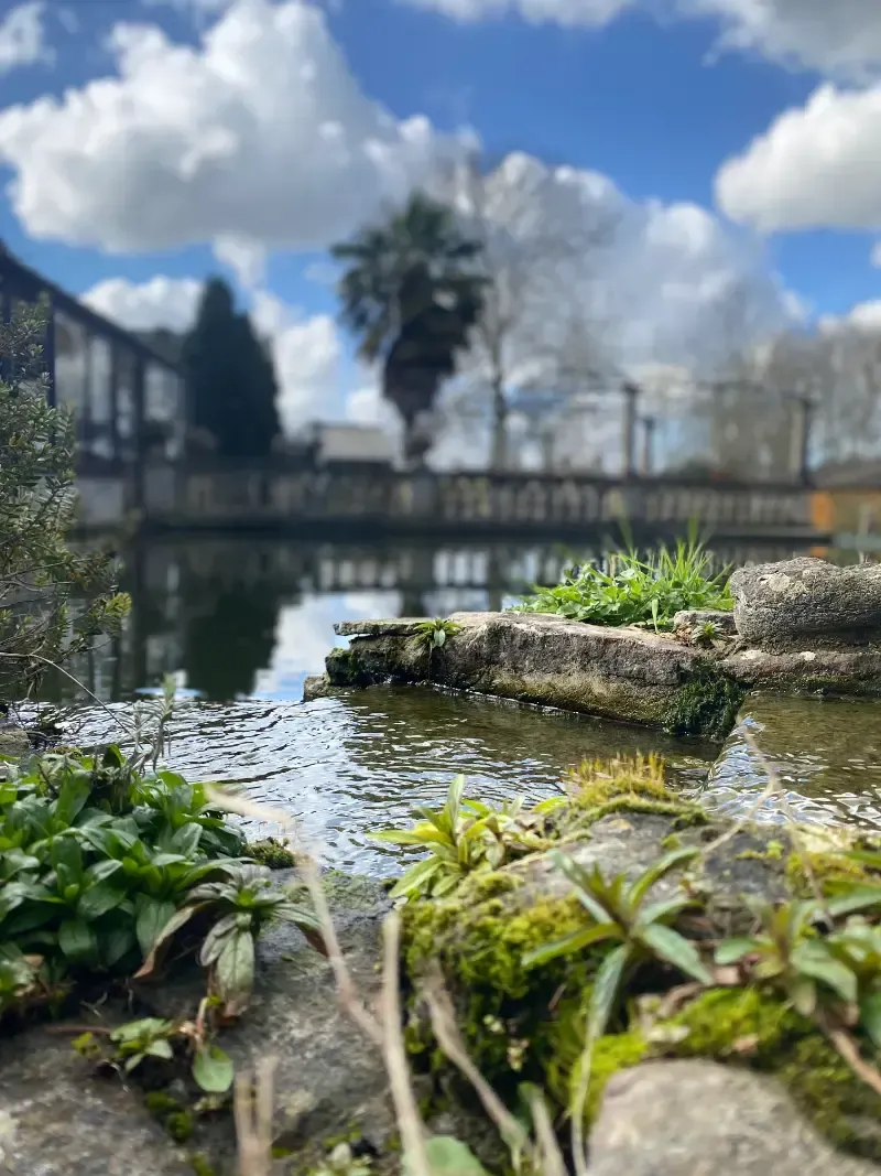 Woodlands Manor Care Home | There is a bridge in the background and a pond in the foreground.
