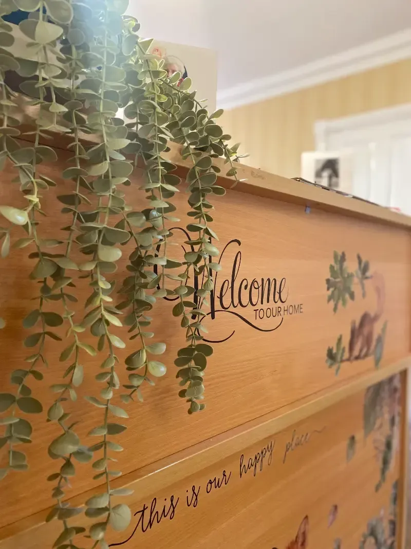 Woodlands Manor Care Home | A wooden dresser with a plant hanging from it.