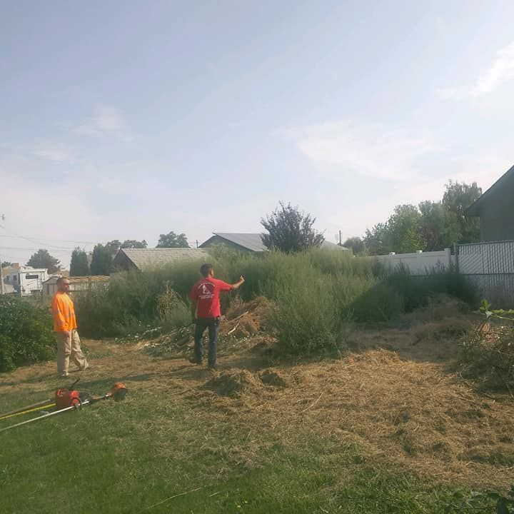 Workers Preparing To Cut Grasses On A Residential Area - Walla Walla, WA - Mario's Yard Care Workers Preparing To Cut Grasses On A Residential Area - Walla Walla, WA - Mario's Yard Care