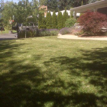 Landscaping The Corner Slope Of The House - Walla Walla, WA - Mario's Yard Care Landscaping The Corner Slope Of The House - Walla Walla, WA - Mario's Yard Care