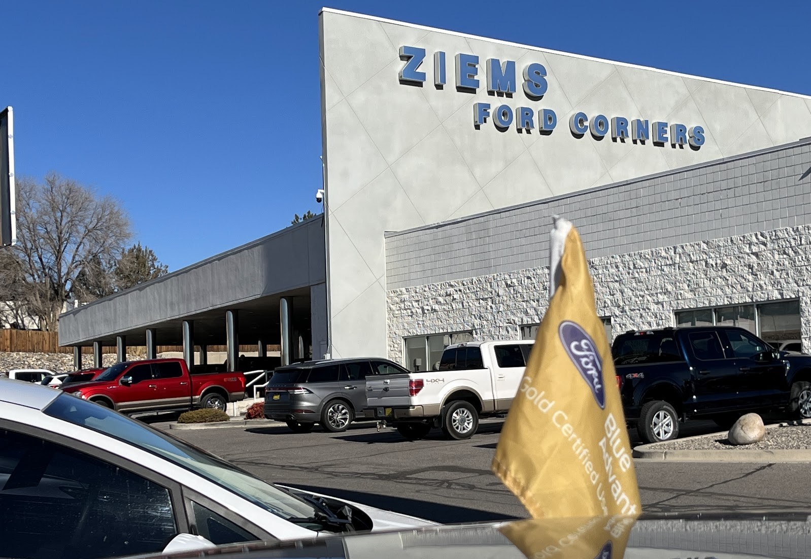 ziems dealership