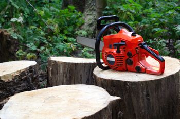 Chainsaw
