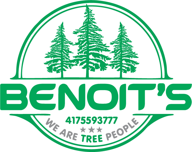 Green logo for Benoit's: Three pine trees, company name, phone number, and tagline "We are Tree People".