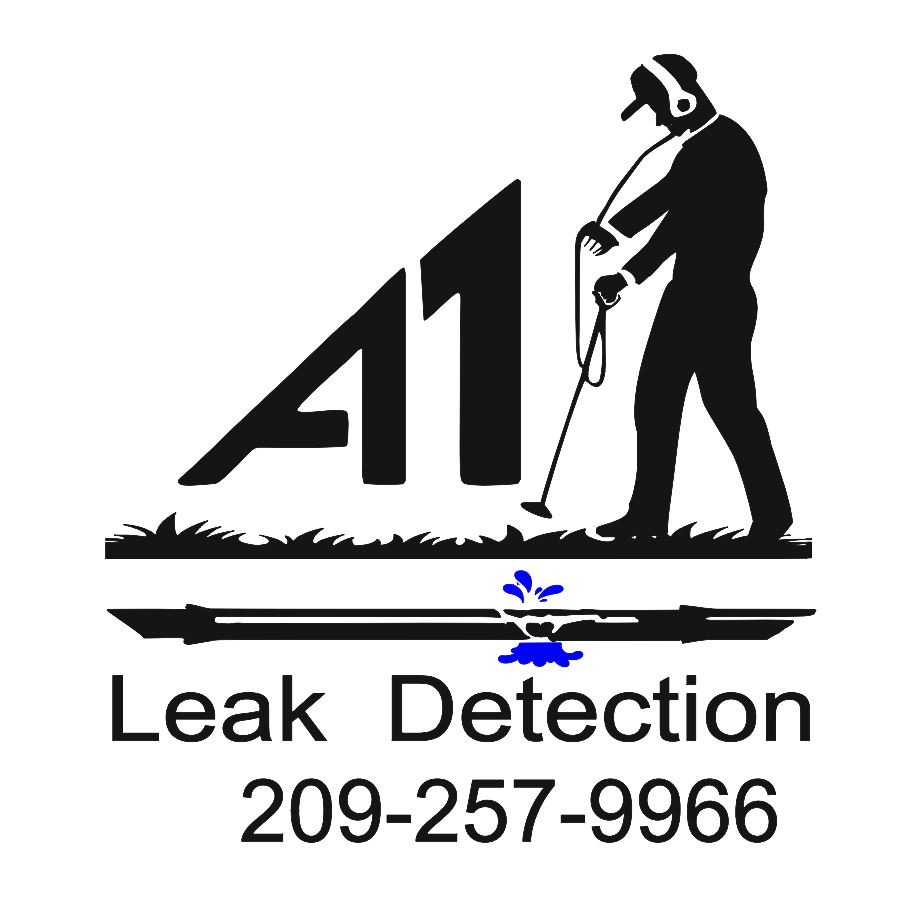 A-1 Leak Detection