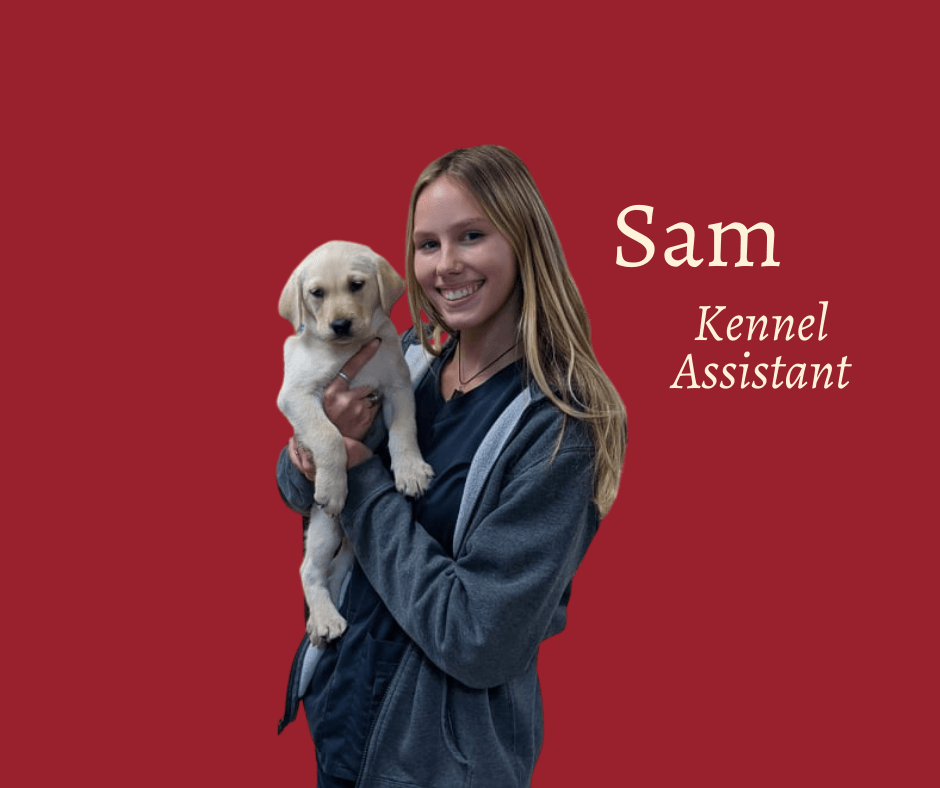 Meet Our Team Chipman Road Animal Clinic Lee's Summit, MO