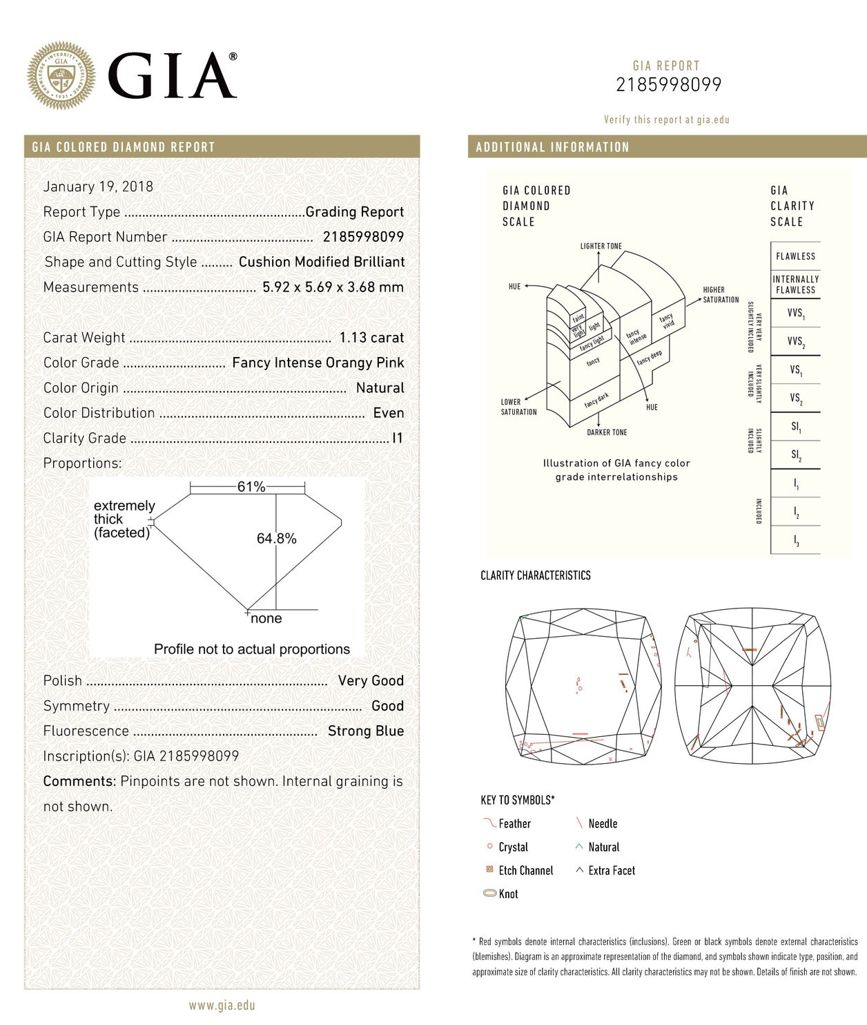 ORIGIN ARGYLE Cushion Diamond 1.13ct 5PR P1