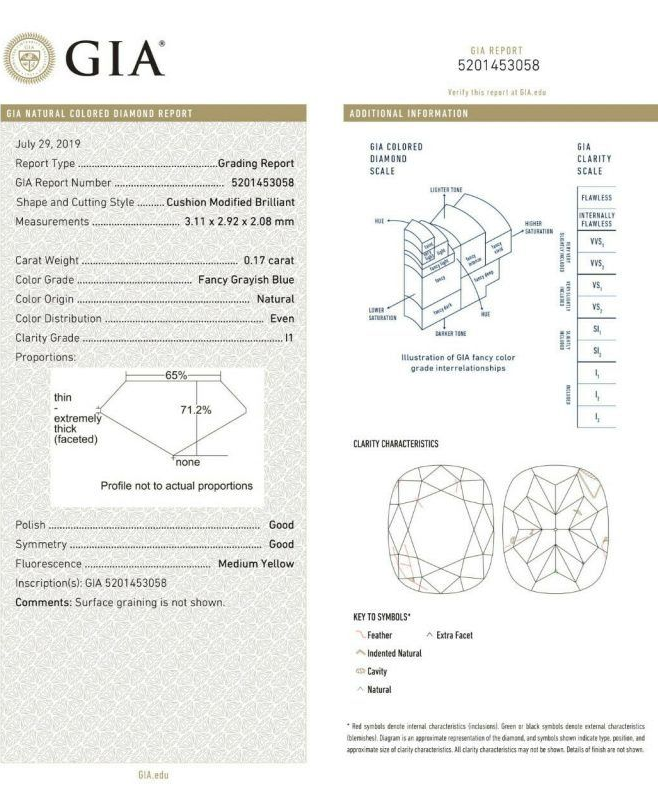 ORIGIN ARGYLE Cushion Diamond 0.17CT BL2 P1