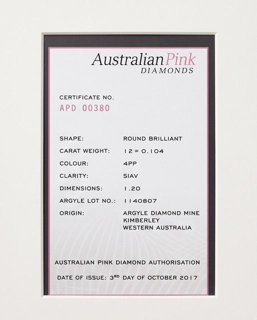 ORIGIN ARGYLE Round Diamonds TDW 0.104ct 12 pieces Pink SIAV