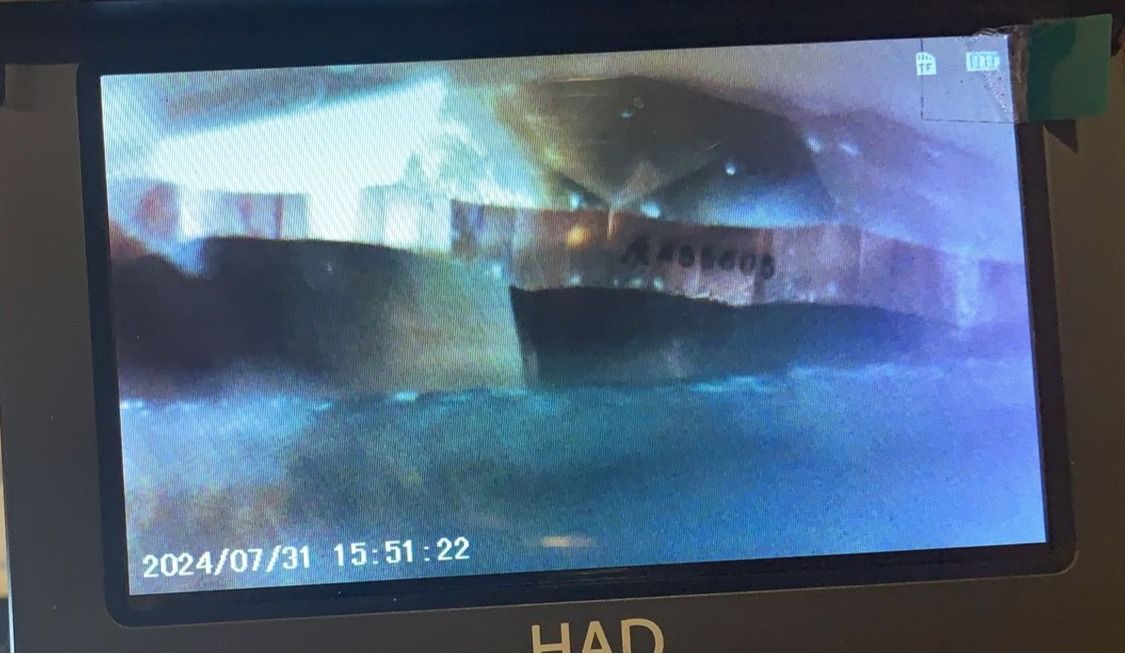 CERTIFIED ARGYLE Pear Diamond 0.11CT 3PR VS2