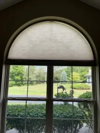 Arched window with blinds, overlooking a green lawn and trees with a dark bird outside.