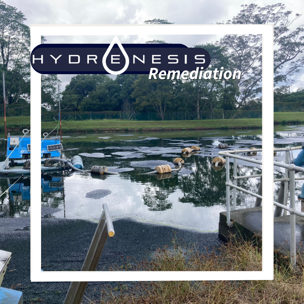 Hydrenesis  Remediation: Blue Algae Solutions 